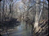 Winter Creek