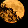 fm 31 shadow on the moon_2877.jpg (94956 bytes)