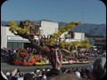 Rose Parade