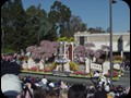 Rose Parade