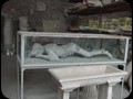 pp93 pompeii plaster casts