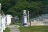 web Shaker Lady IMG_2216.jpg (64158 bytes)