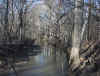 web Winter Creek1.JPG (101094 bytes)